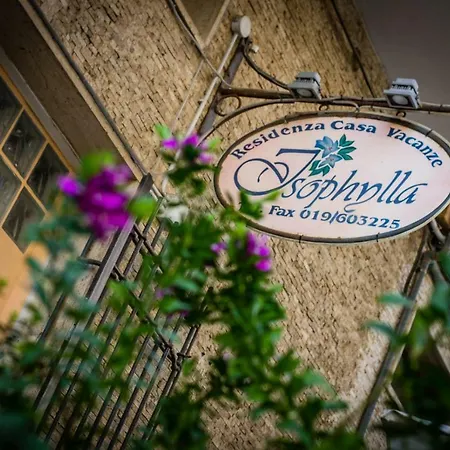 Isophylla